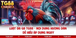 Luật Đá Gà TG88 - Nội Dung Hướng Dẫn Dễ Hiểu Áp Dụng Ngay