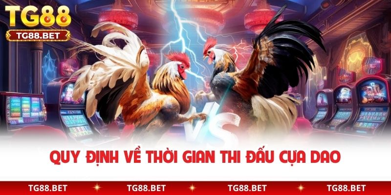Quy định về thời gian thi đấu cựa dao